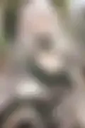 잠긴 이미지