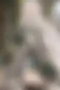 잠긴 이미지