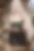 잠긴 이미지