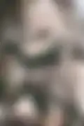 잠긴 이미지