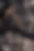 잠긴 이미지