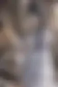 잠긴 이미지