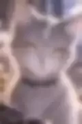 잠긴 이미지