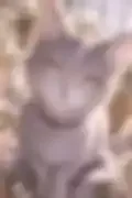 잠긴 이미지