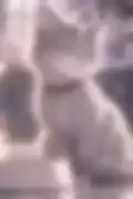 잠긴 이미지