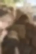 잠긴 이미지