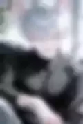 잠긴 이미지