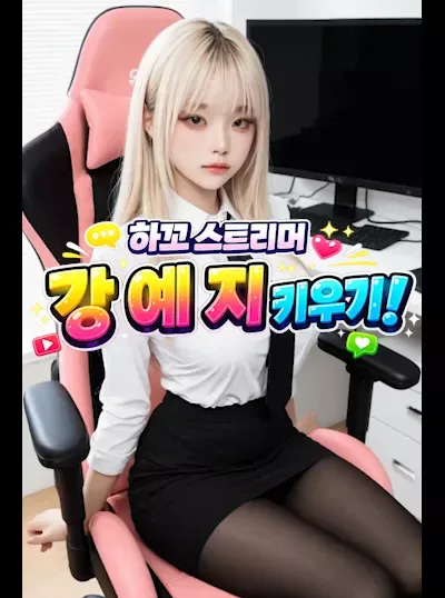 하꼬 스트리머 키우기 update