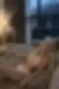 Locked video